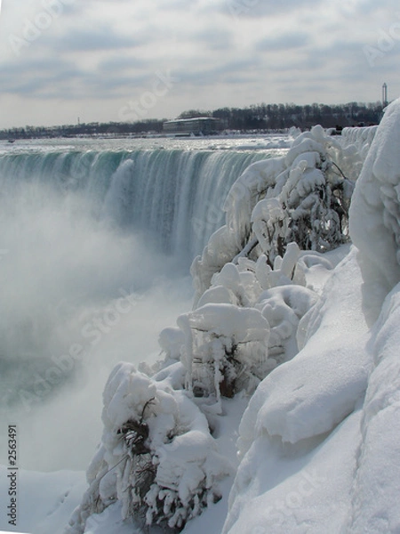 Obraz ice covered trees with falls