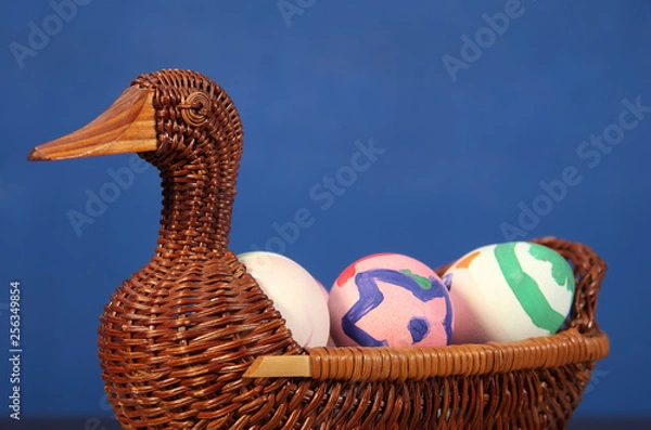 Fototapeta Easter color eggs in the Duck basket. wicker basket of straw. festive meal on a dark wooden table.