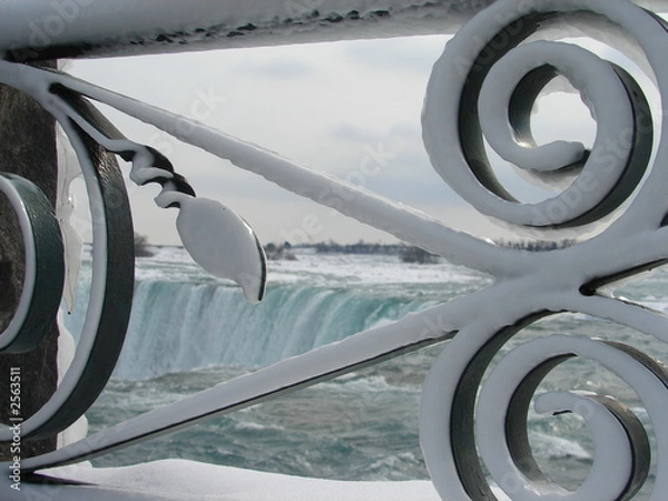 Obraz through the fence - 2