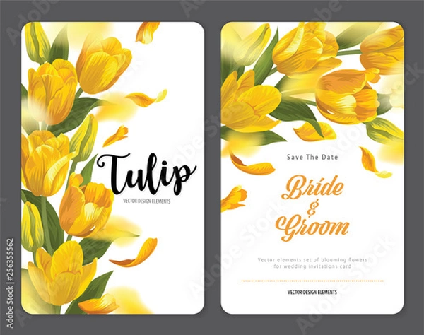 Fototapeta Blooming beautiful yellow tulip flowers background template. Vector set of blooming floral for wedding invitations, greeting card, voucher, brochures and banners design.