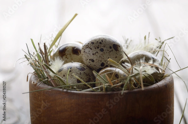 Fototapeta Fresh organic quail eggs in wooden bowl on rustic kitchen table. Space for text