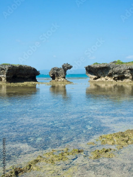 Obraz 振り向き牛の岩