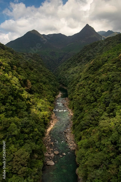 Obraz Anbo River in Yakushima is a very beautiful river. It can be seen from the bridge that is very high, so it can see the flow of the river from the mountain to the beach