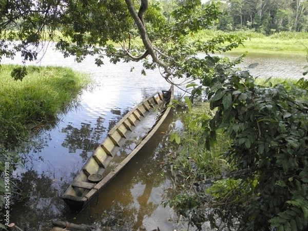 Obraz im Amazonasdschungel