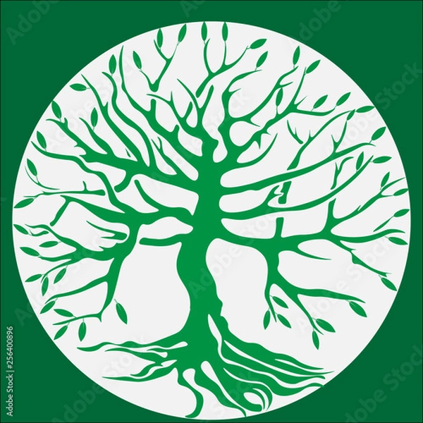 Fototapeta Green tree with roots.