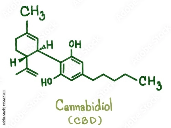 Fototapeta Cannabidiol (CBD) type: CBD was isolated in 1940, i Seven CBD-type cannabinoids with C1 to C5 side chains have been described, CBDA, CBDM, CBDVA, CBD-C4, CBDV and CBD-C1 were reported form cannabis.
