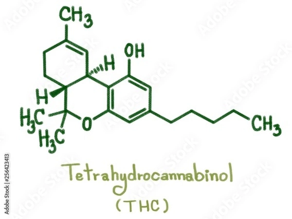 Fototapeta Structure of delta-9-Tetrahydrocannabinol (THC). Nine THC-type cannabinoids with C1To C5 side chain isolated form cannabis plant call marijuana.