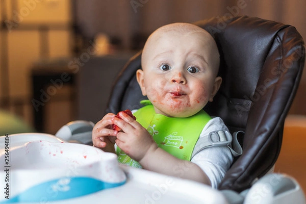 Obraz A funny adorable open-eyed baby boy of 10 months eats strawberry sitting in the baby chair at home in the evening wearing feeding bib is surprised by the taste of the first baby food 