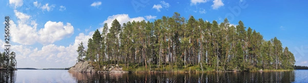 Fototapeta pine forest island