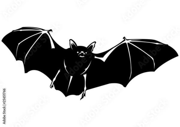 Obraz Chauve souris - 1