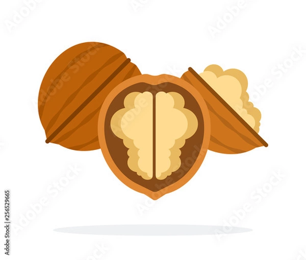 Fototapeta Whole walnut and half of walnuts flat isolated