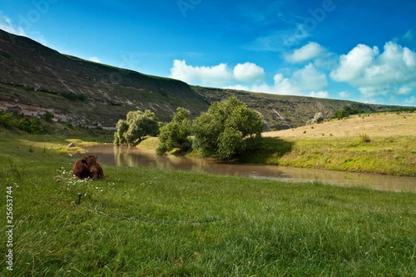 Fototapeta landscape with river