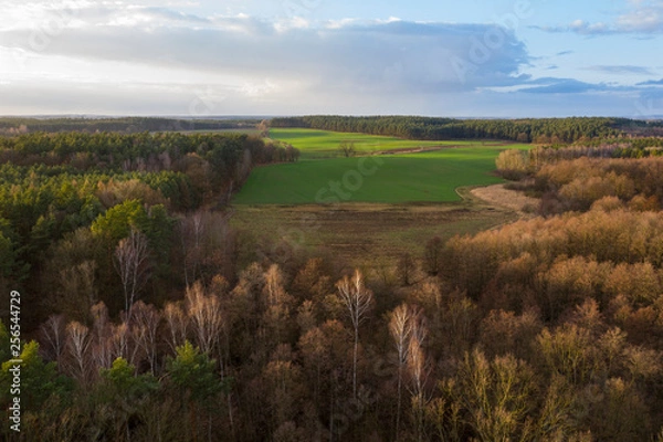 Fototapeta krajobraz