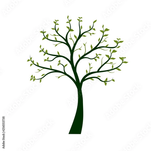 Fototapeta Green Tree with leaves on white background. Vector Illustration.