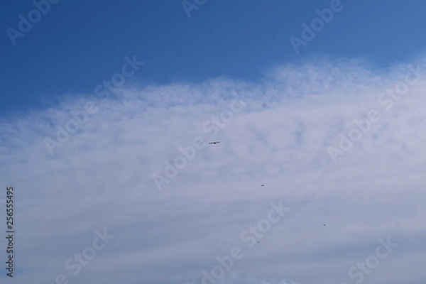 Fototapeta Природа  Авачинская бухта  Камчатка Россия Дальний восток