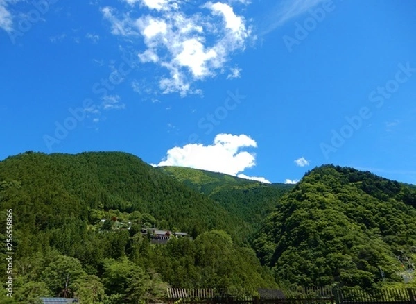 Obraz 奥多摩湖周辺の景色