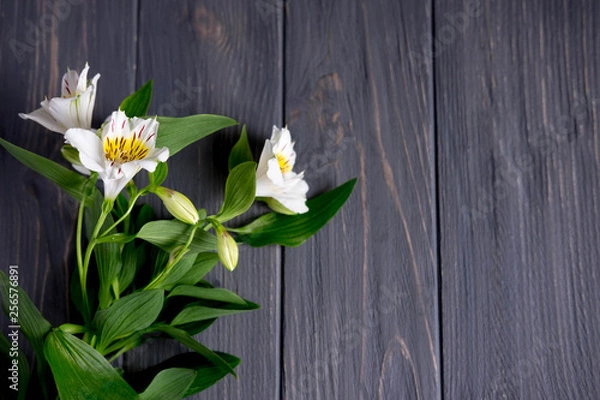 Fototapeta Background for text banner on a dark wooden background with white flowers. Blank, frame for text. Greeting card design with flowers. Aalstroemeria on wooden background. View from above