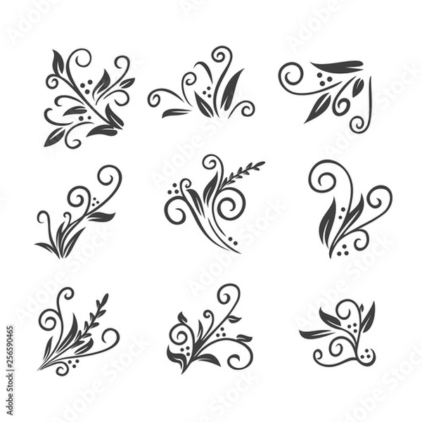 Fototapeta floral ornament set vector