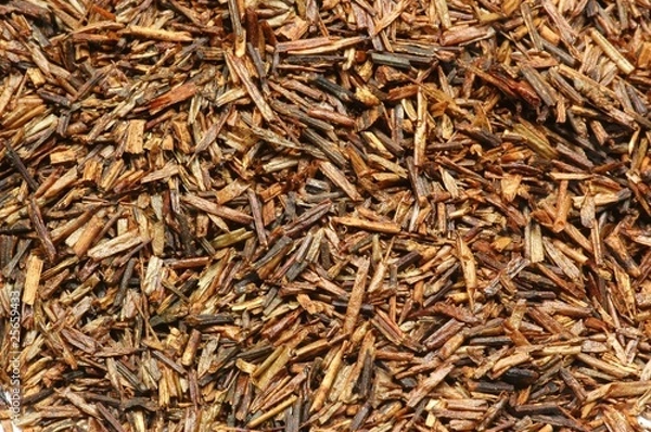 Fototapeta Rooibos