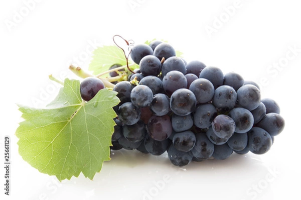 Obraz Kiść czarnych winogron