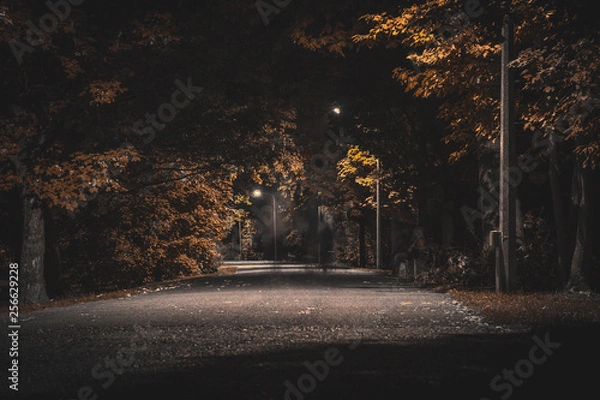 Obraz Street at night
