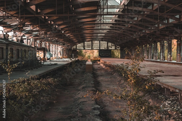 Obraz Abandoned Trainstation 
