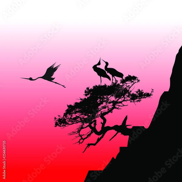 Fototapeta Storks at sunset
