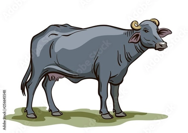 Obraz black buffalo pattern on white background