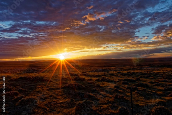 Fototapeta Red Desert Sunset