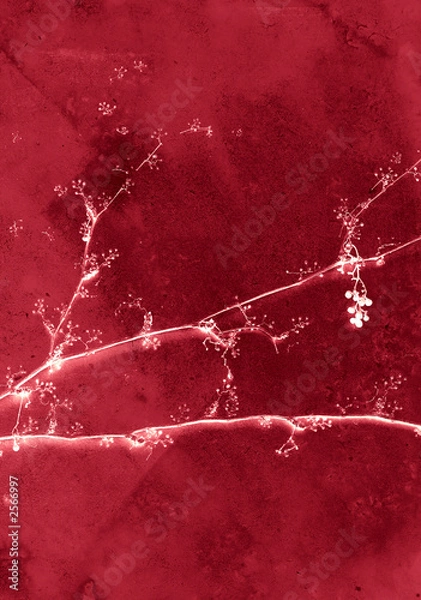 Obraz grunge background