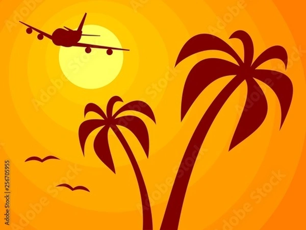 Obraz Airplane, Sun and Palm Trees
