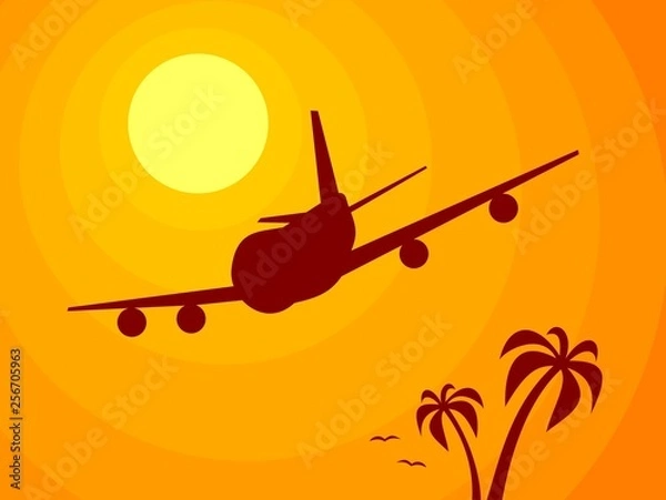 Obraz Airplane, Sun and Palm Trees
