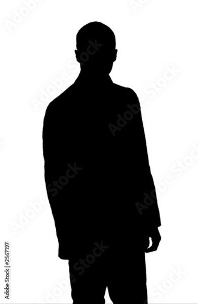 Obraz silhouette uomo business
