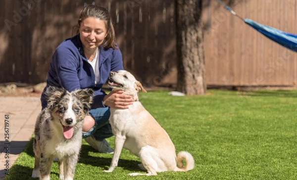 Fototapeta Female with two dogs focus on the happy  Australian Shepherd puppy. copy space to the right of the image.
