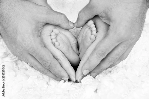 Obraz Babyfüße mit den Händen der Eltern