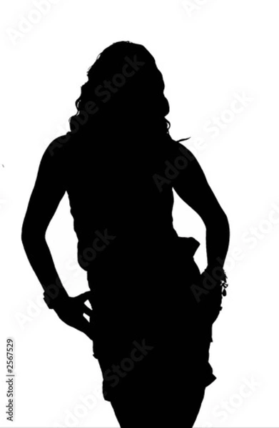 Obraz silhouette donna sexy