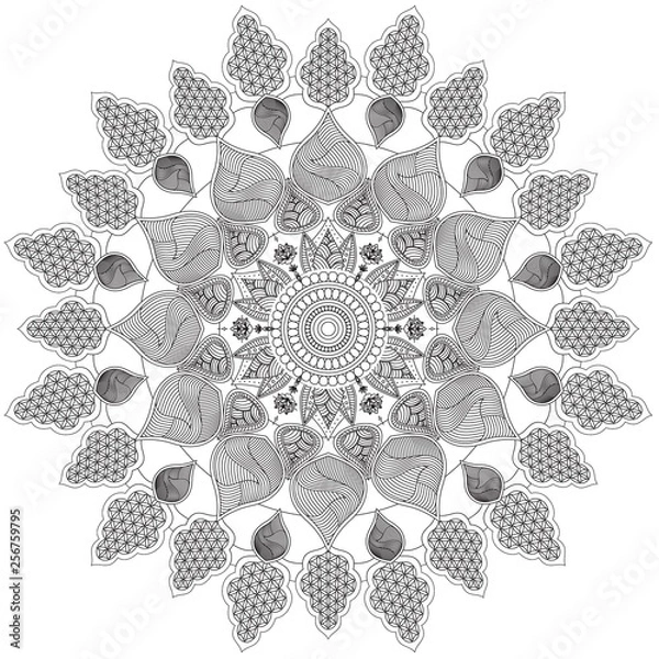 Fototapeta Mandala Intricate Patterns Black and White Good Mood. Flower Vintage decorative elements Oriental. Round ornament, mandala, ethnic decorative element, boho style, zentangle.