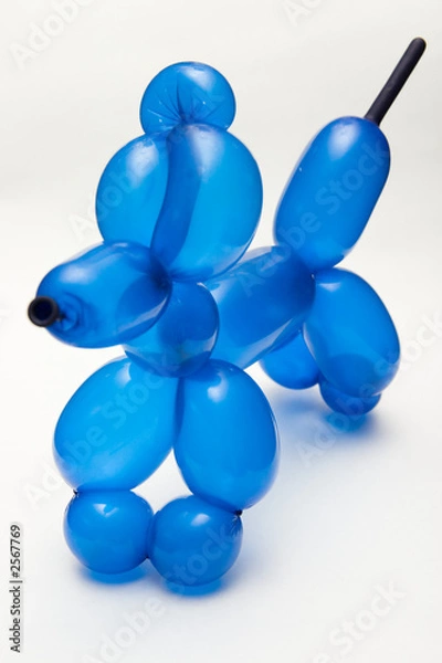 Fototapeta balloon dog