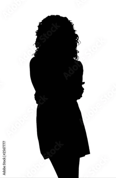 Obraz silhouette donna sexy