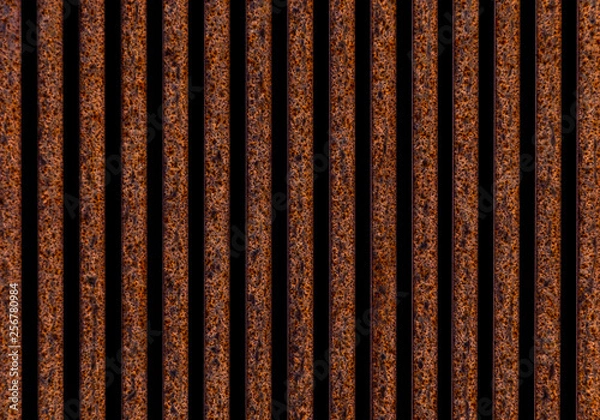 Obraz Rusty grid