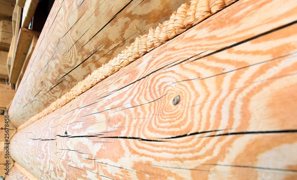 Fototapeta drewno