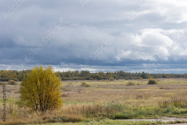 Obraz Strip of temperate climate