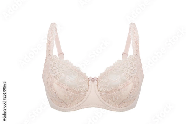 Obraz Beautiful beige bra isolated on white background