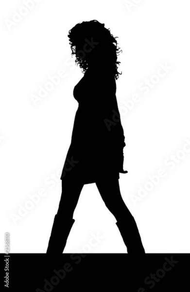 Obraz silhouette donna sexy