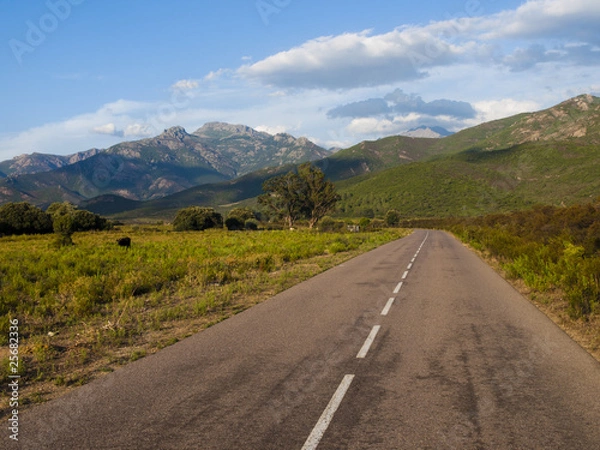 Obraz OLYMPUS DIGITAL CAMERA