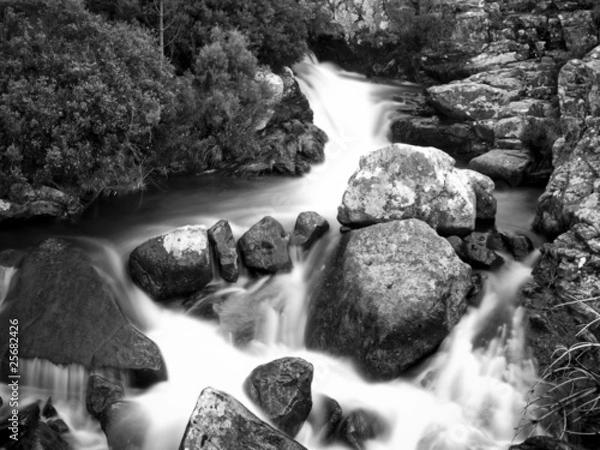 Obraz OLYMPUS DIGITAL CAMERA