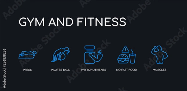 Fototapeta 5 outline stroke blue muscles, no fast food, phytonutrients, pilates ball, press icons from gym and fitness collection on black background. line editable linear thin icons.