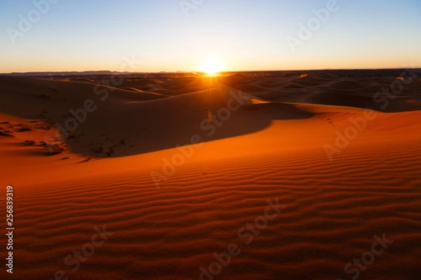 Fototapeta Amazing view of the great sand dunes in the Sahara Desert, Erg Chebbi, Merzouga, Morocco.