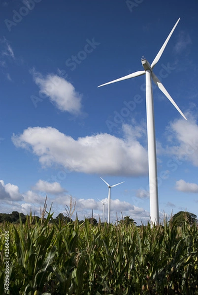 Obraz Eolienne et champs