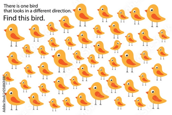 Obraz Find bird that looks in other direction, springs education puzzle game for children, preschool worksheet activity for kids, task for the development of logical thinking and mind, vector illustration